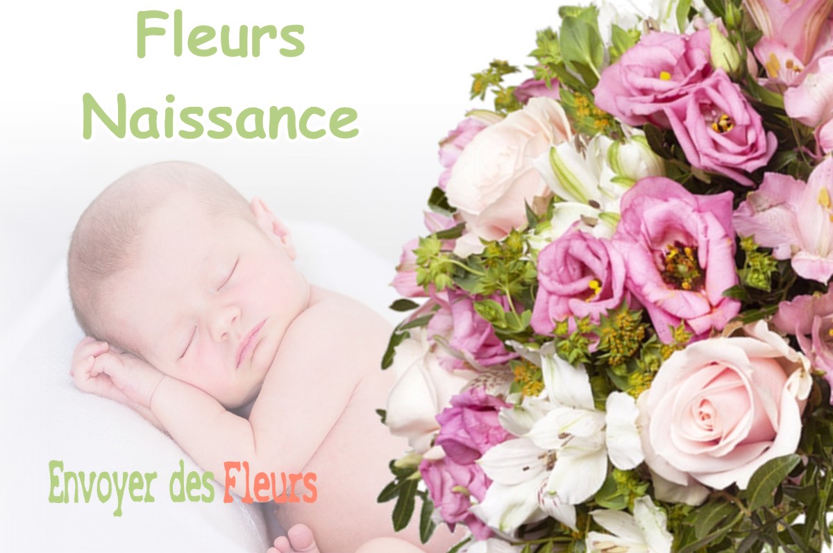 lIVRAISON FLEURS NAISSANCE à SALLES-D-ARMAGNAC